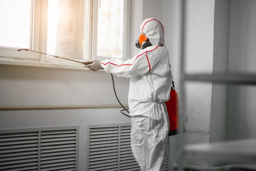 Professional mold remediation services in Newton, UT